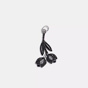 NWT coach Jet Double Flower Charm Crystal Black Clear Petal Necklace